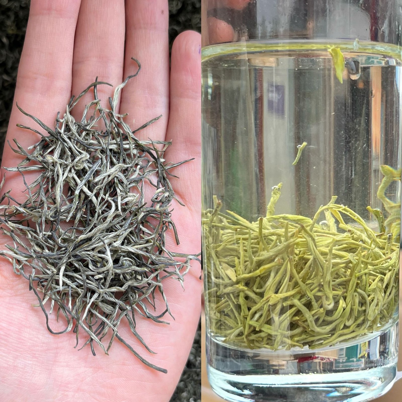 2026 Fresh Biluochun Green Tea – Pine Needle Single Bud, Premium Grade, 500g Loose Leaf